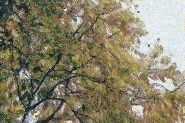 Trees and wood leggings of trees Illustrations creates an impressionist style of painting.