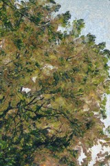 Trees and wood leggings of trees Illustrations creates an impressionist style of painting.