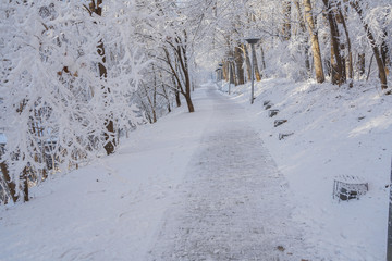 Riverside path after snow