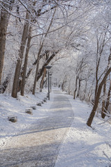 Riverside path after snow