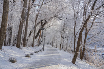 Riverside path after snow