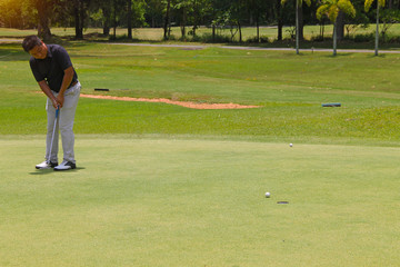 Obraz premium Golfer putting golf into the hole in beautiful golf course. The evening golf course with sunset ibackground.