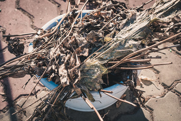 Harvested dry grass and leaves remaining after the fall in deep basin.