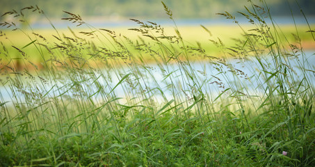 Camping ion Nova Scotia