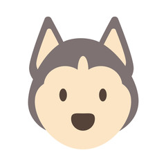 head of cute dog on white background