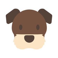 head of cute dog on white background