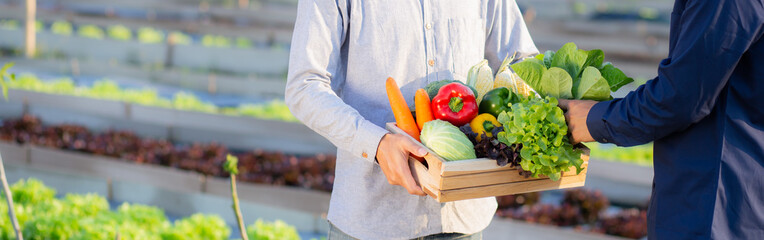 Two young asian man picking up fresh organic vegetable with basket together in the hydroponic farm beautiful, harvest and agriculture for healthy food and business concept, banner website.