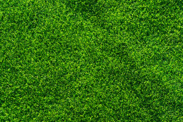 Artificial grass background