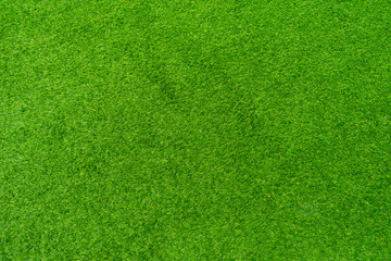 Artificial grass of texture
