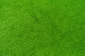Fototapeta premium Artificial grass of texture