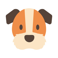 head of cute dog on white background