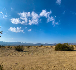 Obraz premium desert at noon
