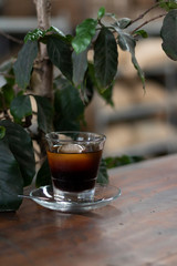 cold brew with glass saucer on wooden table and plant in a coffee shop