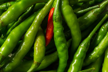 Close up of fresh green chili peppers texture