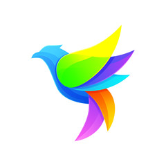 Bird Modern Logo Illustration Vector Template