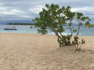 Fototapeta na wymiar Sandy coast of a tropical island in the Oceania archipelago of Fiji