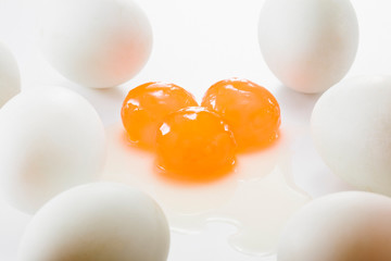 eggs on white background