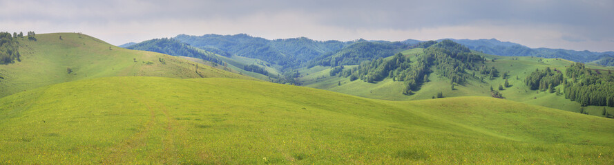 Fototapeta na wymiar Green meadows and mountain slopes, summer, panorama nature, Altai