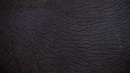 Fototapeta na wymiar Elephant leather texture and pattern