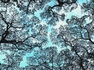 blue tree branch background