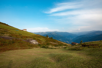 tall flat grasses and chalet