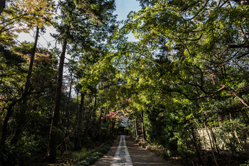 Obraz premium 寿福寺