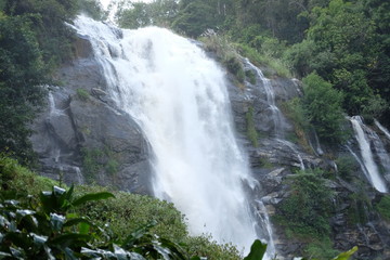 The waterfall in the forest