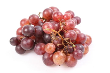 Red grape with water drops, closeup, isolated on white background