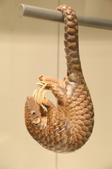 Pangolin