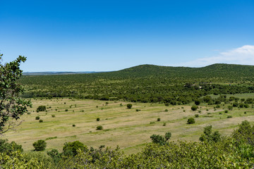 Fototapeta na wymiar Landscape shot of farm and nature reserve land in the Vredefort Dome in South Africa