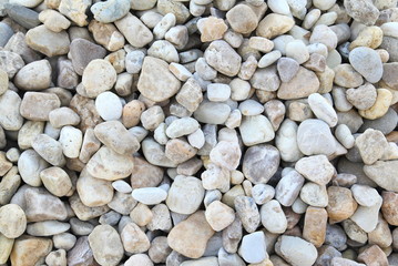 abstract background with dry round reeble stones