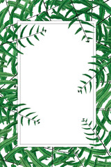 Fern leaves set in the frame around blank space for a text, Tropical summer background