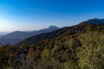 Vista aérea de bosques y cerro La Campana, Chile