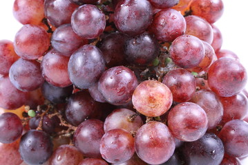 Red grape with water drops, closeup, isolated on white background