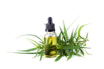 Cannabis oil, cbd oil cannabis extract isolated on white background