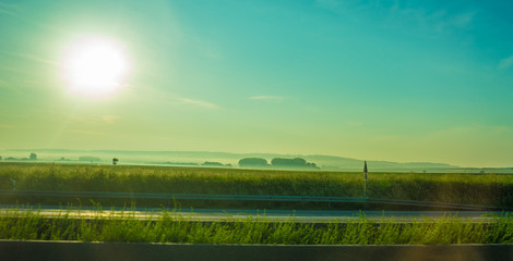 Germany, Frankfurt, Sunrise, a close up of a lush green field