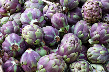 Fototapeta na wymiar Close up of many purple globe artichokes, Cynara cardunculus, background image