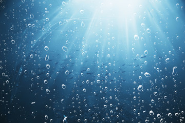 bubbles air under water ocean background diving nature abstract background underwater