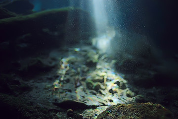 Fototapeta premium underwater cave stalactites landscape, cave diving, yucatan mexico, view in cenote under water