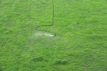 Sprinkler irrigation facilities in the lawn