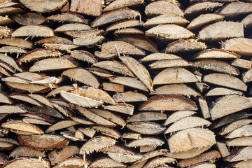 Background of stacked wood