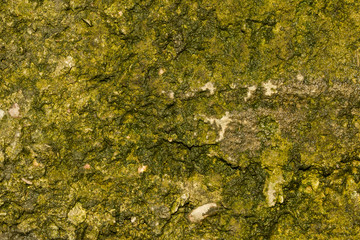 Green moss grown up cover the rough stones