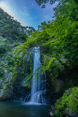 大自然の中の滝