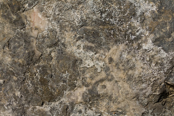 Grey Granite Stone Texture. Rough stone