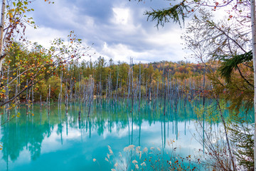 青い池