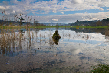 See in Berhaupten im Kinzigtal im Schwarzwald