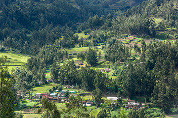 Fototapeta na wymiar Andean town surroanded by Eucalyptus´s forest in Callejon de Conchucos in the Peruvian Cordillera