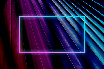 Palm leaf in blue and pink gradient tones with neon light frame