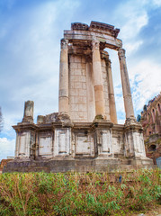 Fototapeta premium old ruins in Roman Forum, Rome city. Italy