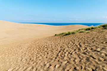 青空の下の鳥取砂丘